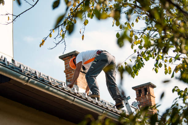 Best Best Roofing Contractors  in Roodhouse, IL