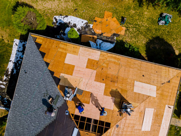 Best Roof Maintenance Services  in Roodhouse, IL