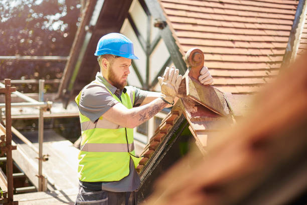 Best Metal Roofing Contractor  in Roodhouse, IL