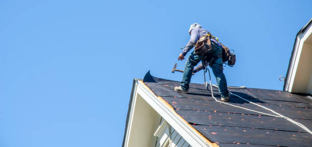 Roof Gutter Cleaning in Roodhouse, IL